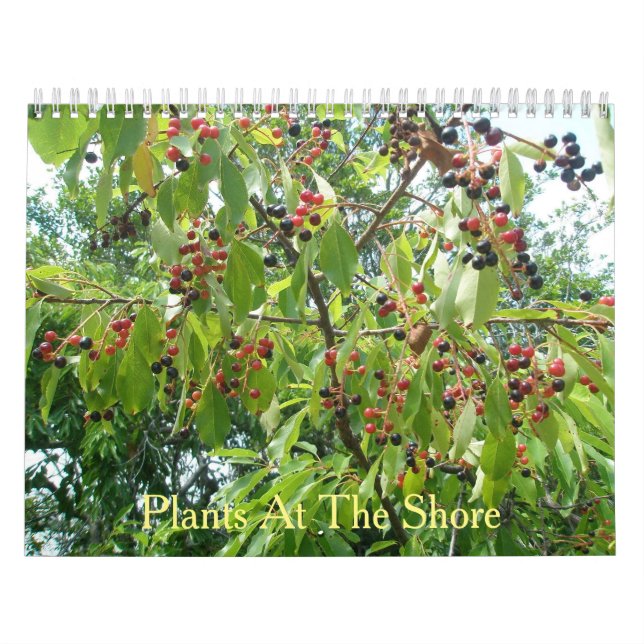 Plantes au calendrier Shore (Protection)
