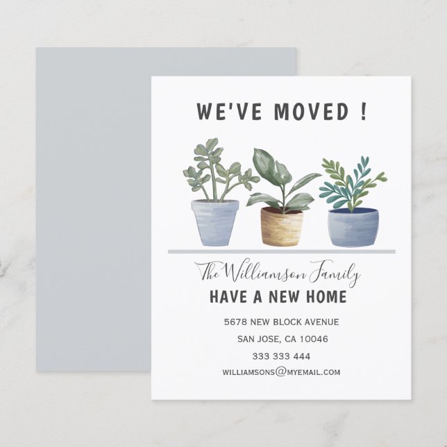 Plantes budgétaires Nous avons déplacé le Faire-pa (Devant / Derrière)