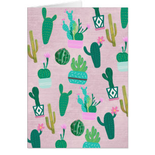 Plantes de cactus cactées rustiques sud-ouest rose