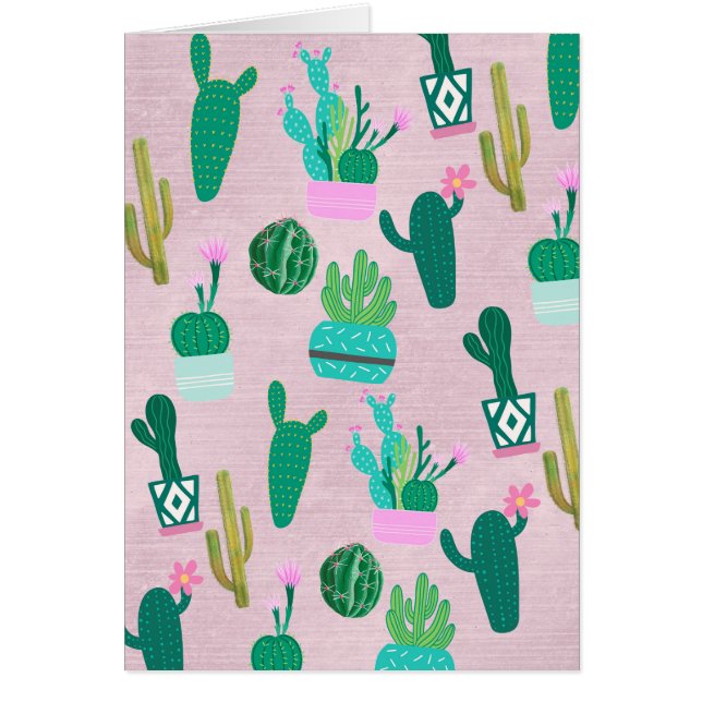 Plantes de cactus cactées rustiques sud-ouest rose (Devant)