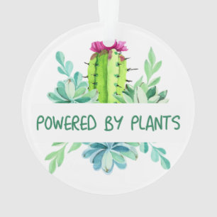 Plantes et fleurs