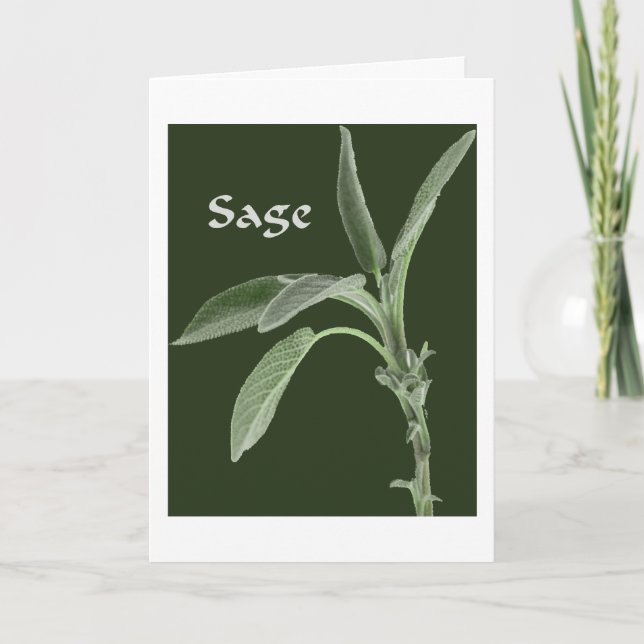 Plantes magiques - carte sage (Devant)