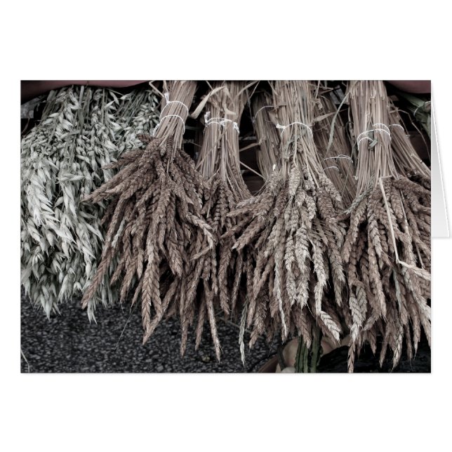 Plantes séchés pour la décoration (Devant horizontal)