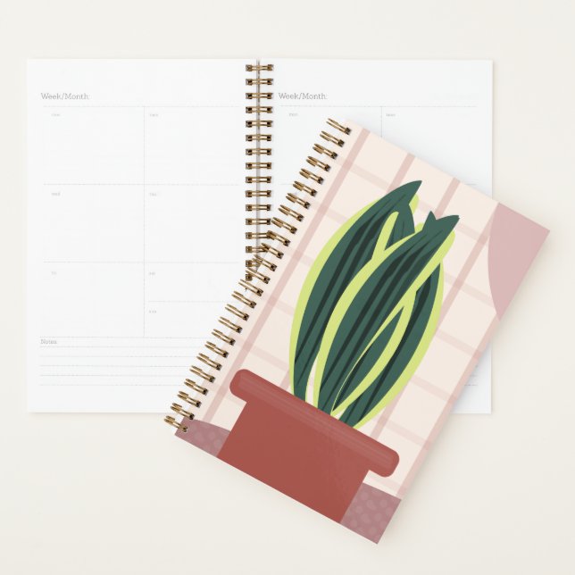 Plantes serpent sur fond rose carreau rose (Devant avec enveloppe)