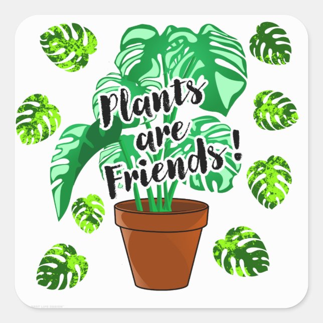 Plantes sont Amis Poted Monstera autocollant (Devant)