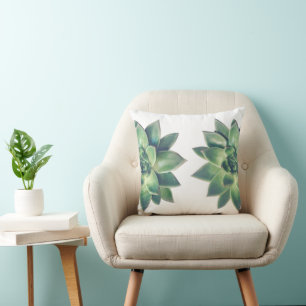 Plantes succulentes vertes amicales sur coussin bl