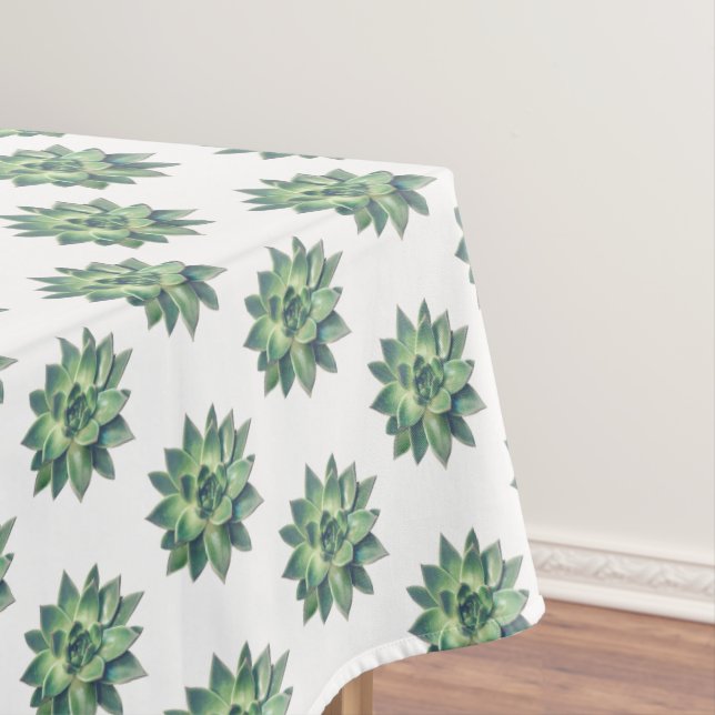 Plantes succulentes vertes sur nappe blanche (In Situ)