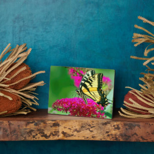 Plaque à papillon Art déco