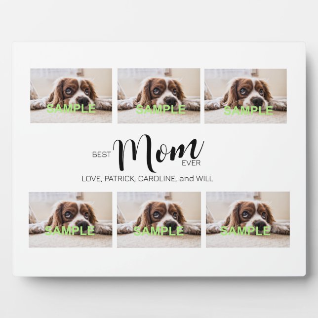 Plaque à six photos Collecte à papier avec acier (Devant)