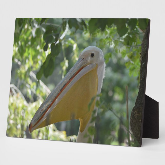 Plaque avec drôle de pélican (Côté)