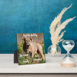 Plaque de Bulldog anglaise avec Easel