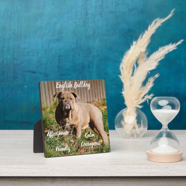 Plaque de Bulldog anglaise avec Easel (Insitu)