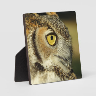 Plaque de bureau Great Horned Owl