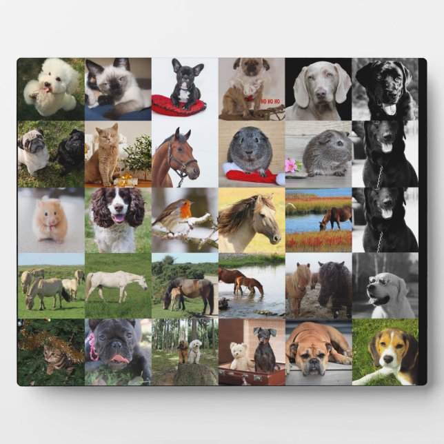 Plaque de colage 30xPhoto - N'IMPORTE QUELLE Occas (Devant)