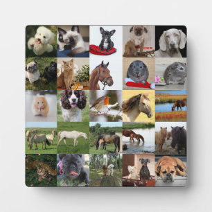 Plaque de colage photo 25x - N'IMPORTE QUELLE Occa