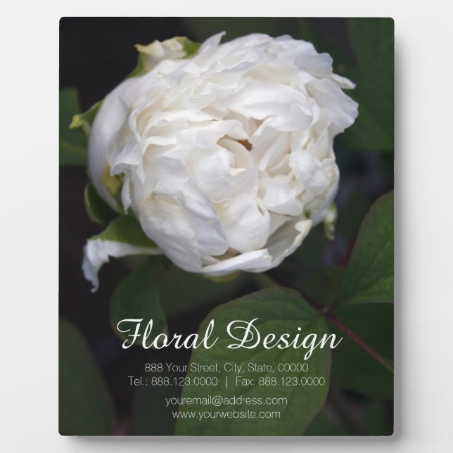 Plaque de photographie florale Peony blanc (Devant)