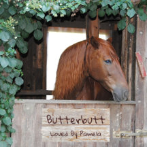 Simulateur Rustique Bois Horse Stall Classique Cha
