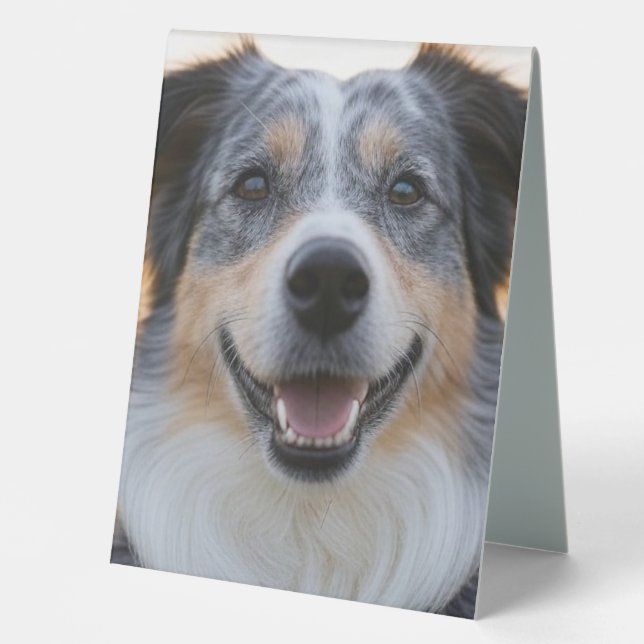Plaque De Table Ajouter une Personnaliser photo pour animaux domes (Recto)