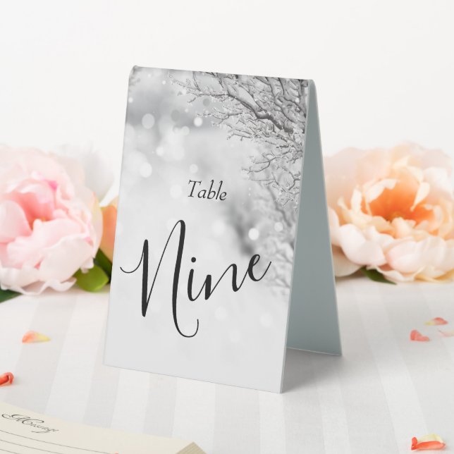 Plaque De Table Mariage hivernal avec neige mousseuse et glace (In SItu (Mariage))