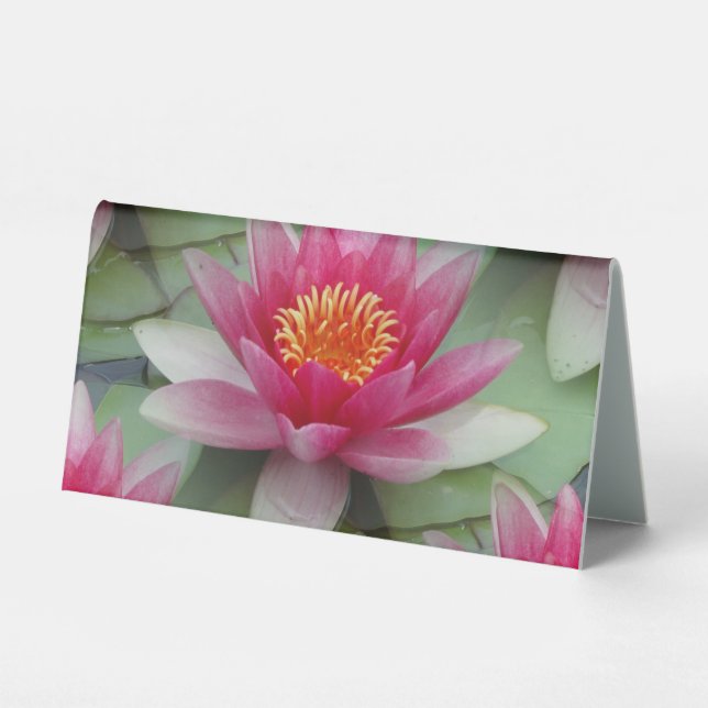Plaque De Table Rose Lotus Water Lily (Recto)