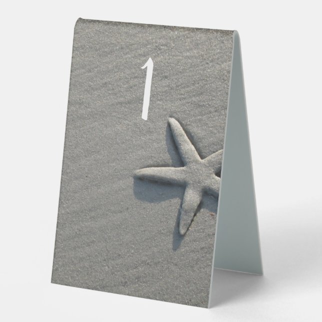 Plaque De Table Sable Dollar Starfish Ocean Beach (Recto)