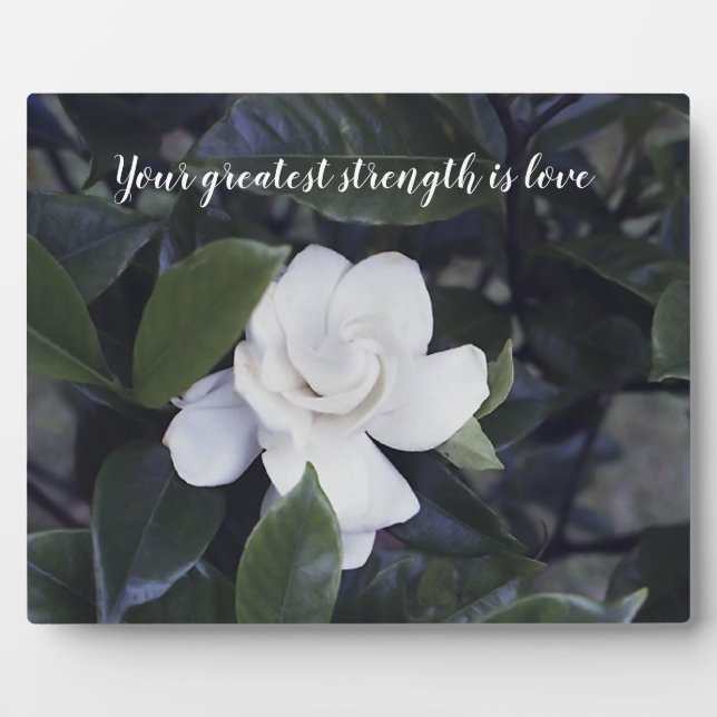 Plaque de table Words of Wisdom avec Easel (Devant)