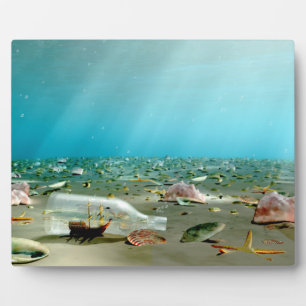 Plaque d'épave livrée en bouteille