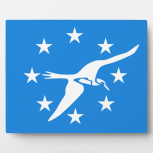 Plaque drapeau de la ville de Corpus Christi