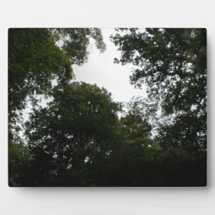 Plaque forestière déplaisante