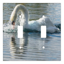 Couvercle de plaque d'interrupteur à cygne