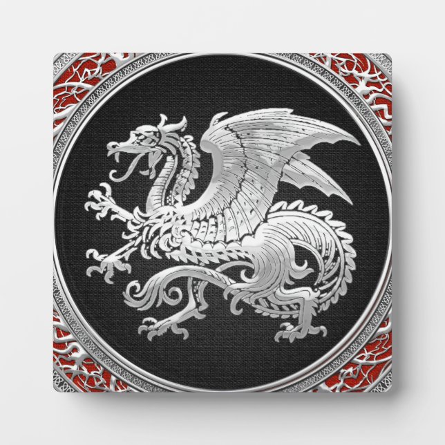 Plaque Photo [100] Dragon islandais, Landvæ ttir [Argent] (Devant)