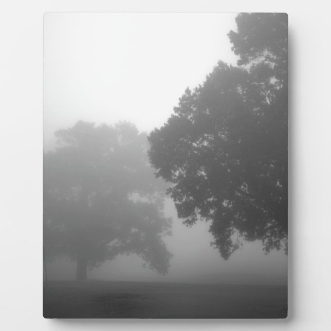 Plaque Photo 3arbres (Devant)