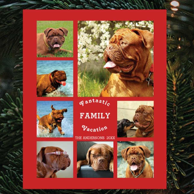 Plaque Photo 8 Photo famille ✨ souvenirs personnalisés (Christmas Gift Idea)