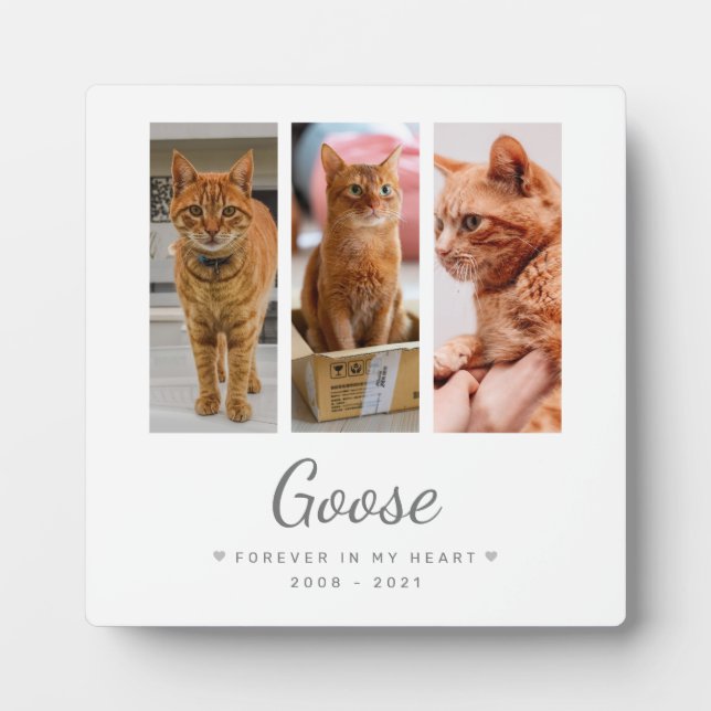 Plaque Photo À jamais dans mon cœur Cadeau commémoratif pour an (Devant)