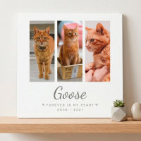 À jamais dans mon cœur Cadeau commémoratif pour an