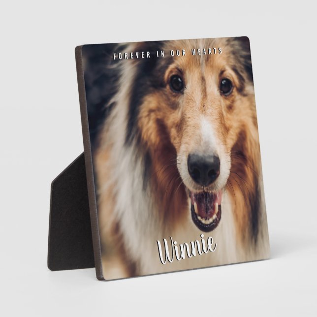 Plaque Photo À jamais dans nos cœurs Photo de l'animal de compa (Recto)