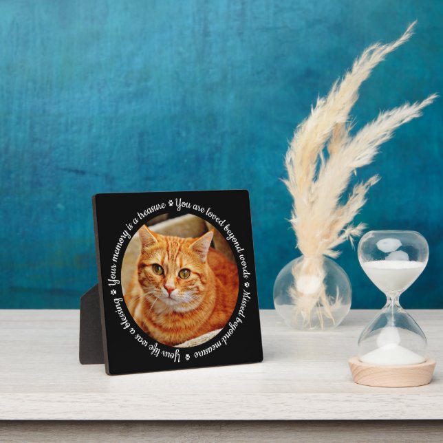 Plaque Photo à la Mémoire du Chat (Insitu)