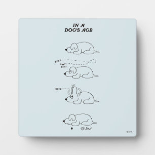 Plaque Photo À l'âge d'un chien