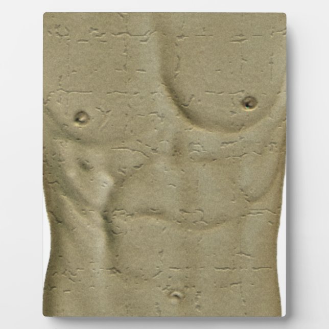 Plaque Photo Abs (Devant)
