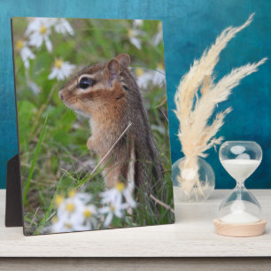 Plaque Photo Adorable Chipmunk en fleurs
