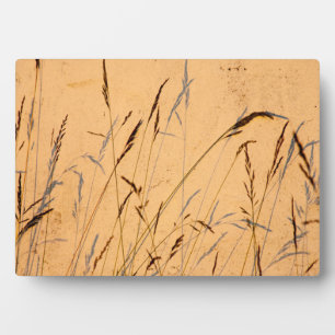 Plaque Photo Affiche de carte postale en acrylique Summer Grass