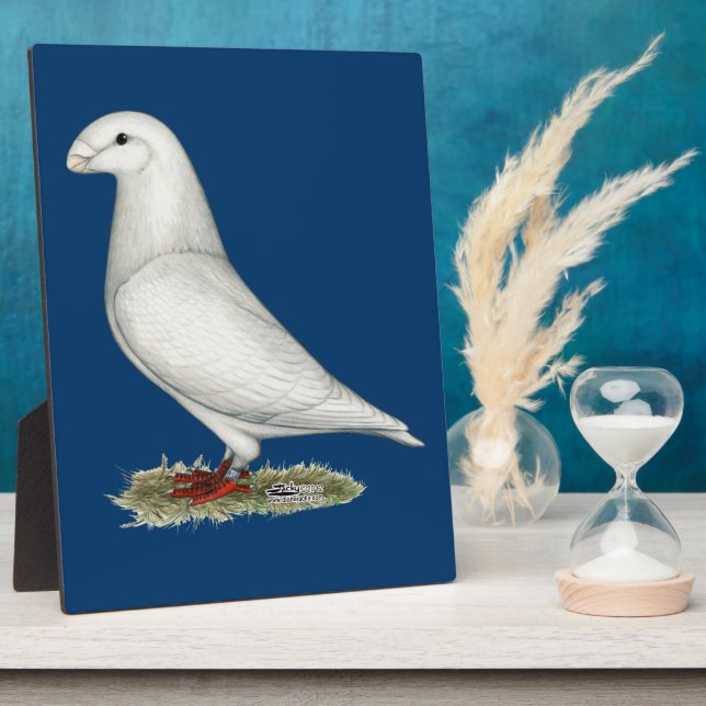 Plaque Photo Afficher le blanc de la course (Côté)