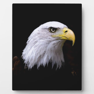 Plaque Photo Aigle
