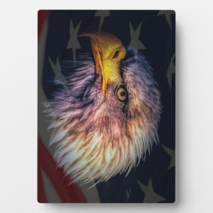 Plaque Photo Aigle à tête blanche américaine avec drapeau