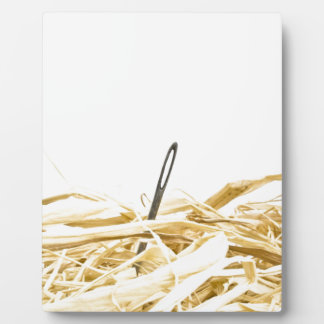 Plaque Photo aiguille dans une botte de foin
