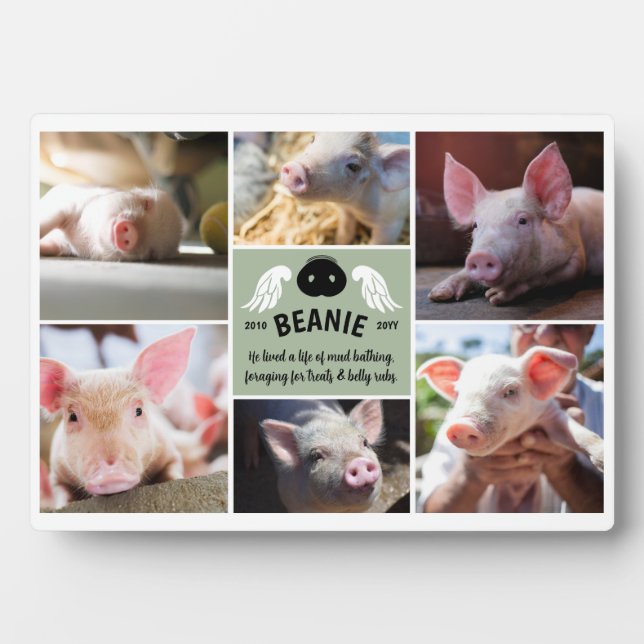 Plaque Photo Ailes vert sauge Collage photo commémorative du gr (Devant)