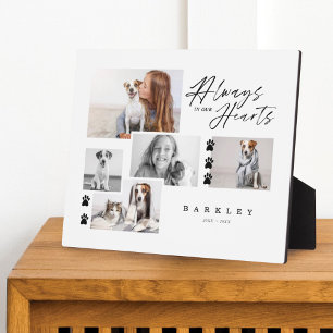 Plaque Photo Always In Our Hearts Pet Photo Collage Memorial