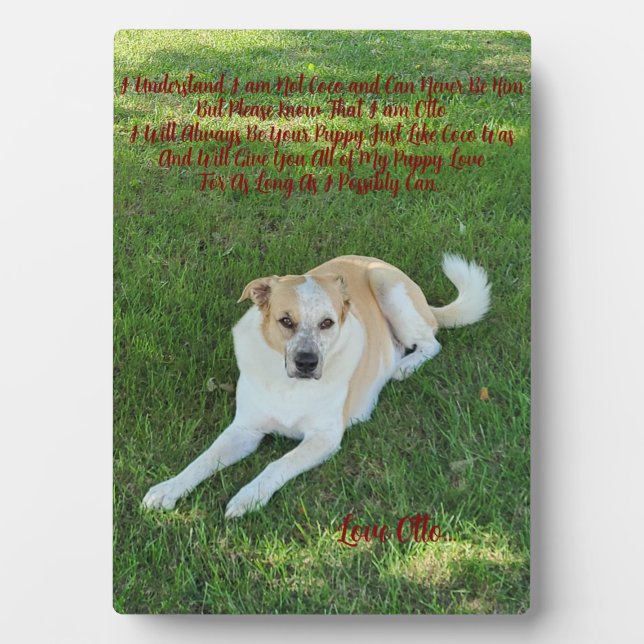 Plaque Photo Amour de chiot (Devant)