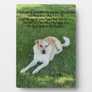Plaque Photo Amour de chiot