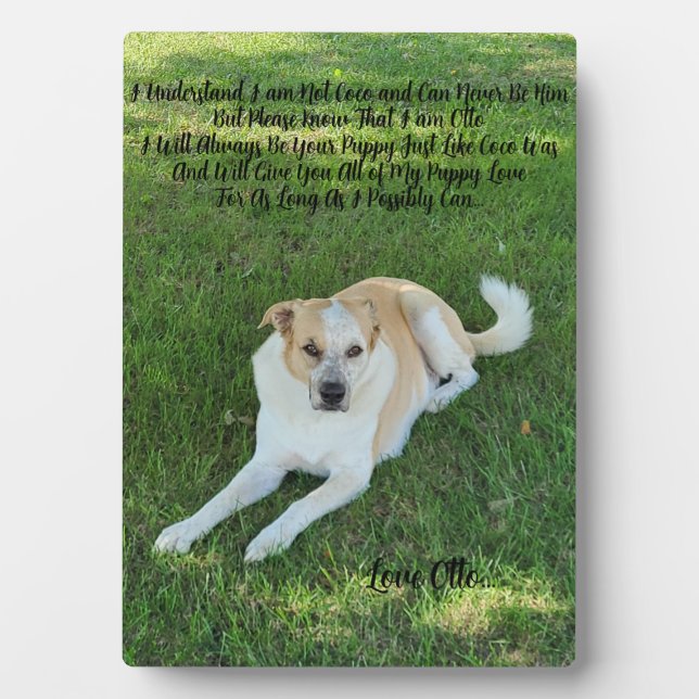 Plaque Photo Amour de chiot (Devant)